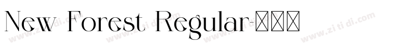 New Forest Regular字体转换